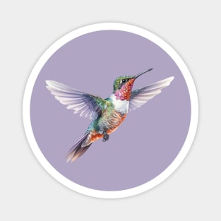 Red Throated Hummingbird Magnet